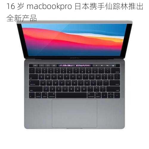 16 岁 macbookpro 日本携手仙踪林推出全新产品