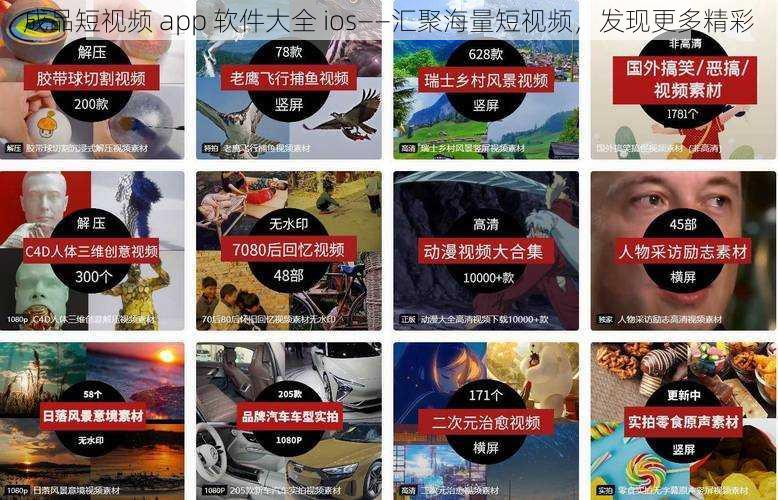 成品短视频 app 软件大全 ios——汇聚海量短视频，发现更多精彩