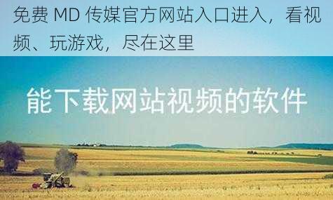 免费 MD 传媒官方网站入口进入，看视频、玩游戏，尽在这里