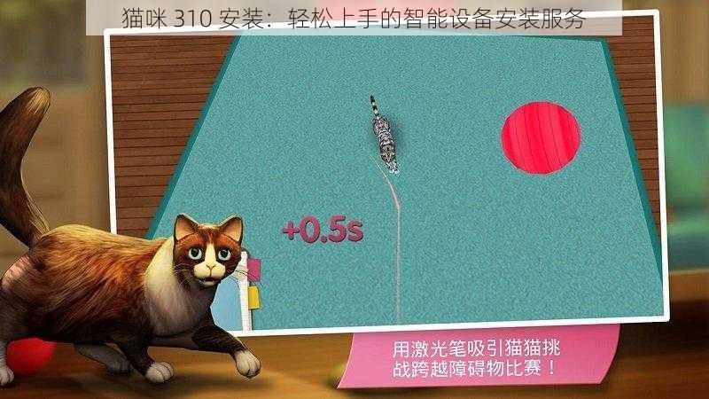 猫咪 310 安装：轻松上手的智能设备安装服务