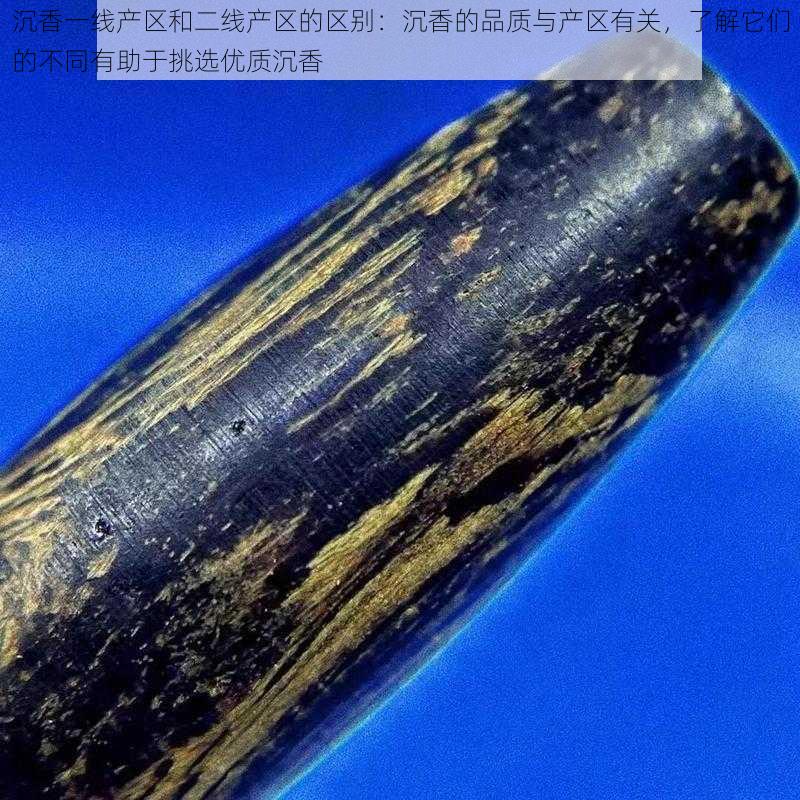 沉香一线产区和二线产区的区别：沉香的品质与产区有关，了解它们的不同有助于挑选优质沉香