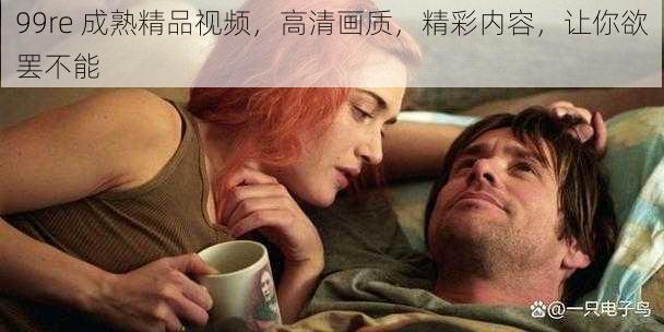 99re 成熟精品视频，高清画质，精彩内容，让你欲罢不能