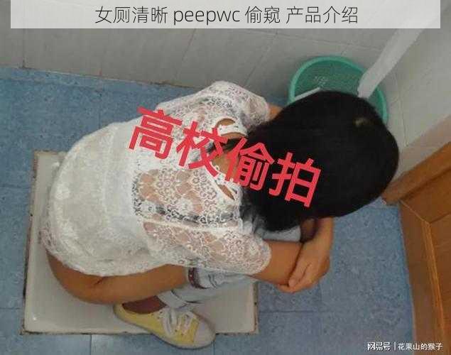 女厕清晰 peepwc 偷窥 产品介绍