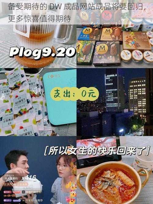 备受期待的 DW 成品网站成品将要回归，更多惊喜值得期待