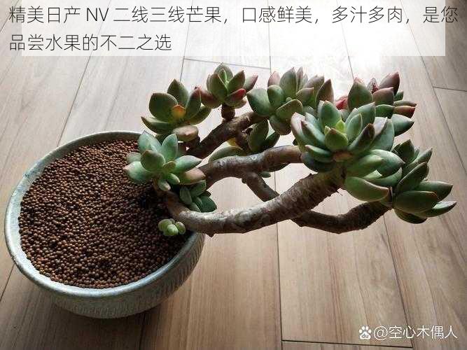 精美日产 NV 二线三线芒果，口感鲜美，多汁多肉，是您品尝水果的不二之选