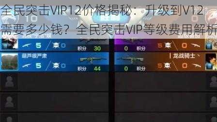 全民突击VIP12价格揭秘：升级到V12需要多少钱？全民突击VIP等级费用解析