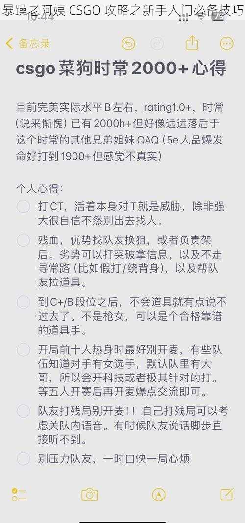 暴躁老阿姨 CSGO 攻略之新手入门必备技巧