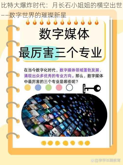 比特大爆炸时代：月长石小姐姐的横空出世——数字世界的璀璨新星