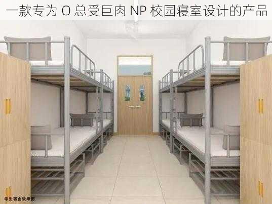 一款专为 O 总受巨肉 NP 校园寝室设计的产品