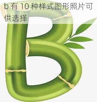 b 有 10 种样式图形照片可供选择