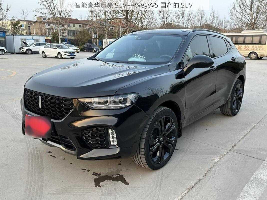 智能豪华超豪 SUV——WeyVV5 国产的 SUV