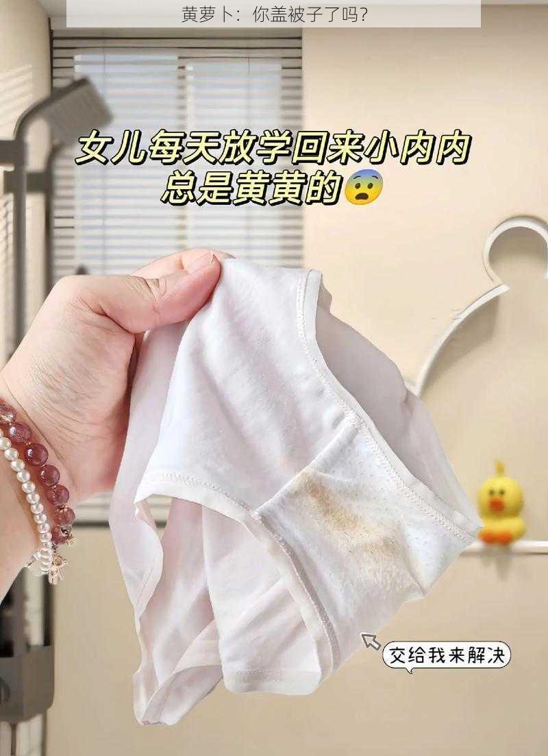 黄萝卜：你盖被子了吗？