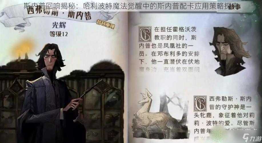 斯内普回响揭秘：哈利波特魔法觉醒中的斯内普配卡应用策略探究