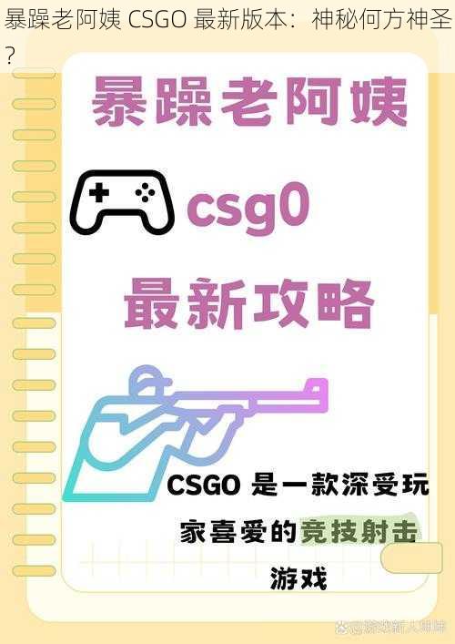 暴躁老阿姨 CSGO 最新版本：神秘何方神圣？