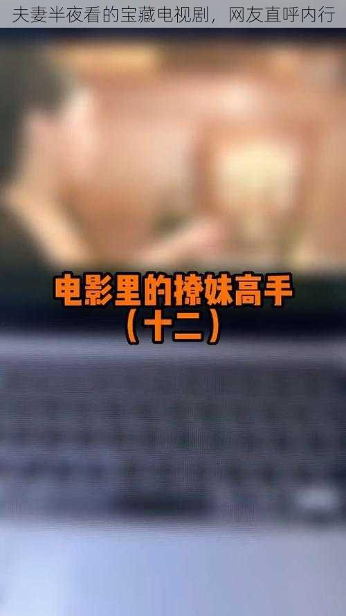 夫妻半夜看的宝藏电视剧，网友直呼内行