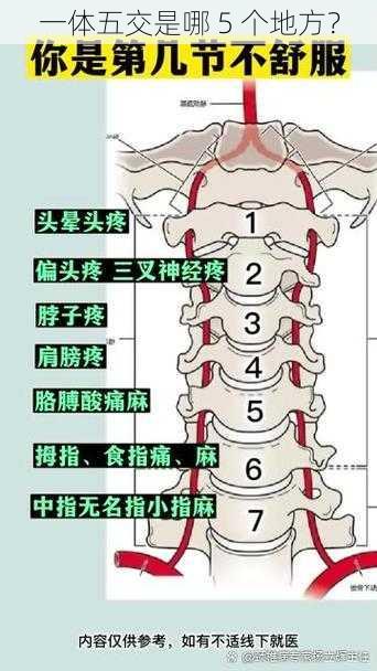 一体五交是哪 5 个地方？