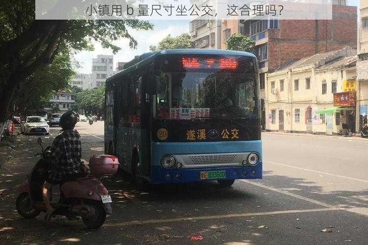 小镇用 b 量尺寸坐公交，这合理吗？