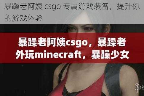 暴躁老阿姨 csgo 专属游戏装备，提升你的游戏体验