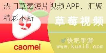 热门草莓短片视频 APP，汇聚精彩不断