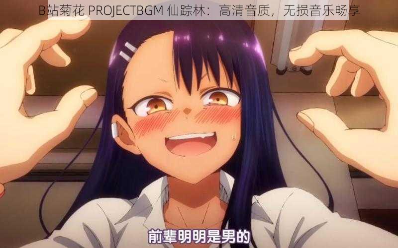 B站菊花 PROJECTBGM 仙踪林：高清音质，无损音乐畅享